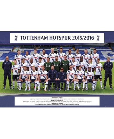 Tottenham Hotspur Drużyna 15/16 - plakat