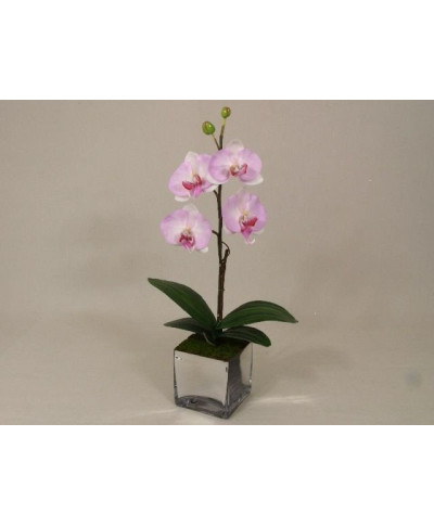 Sztuczny storczyk - Orchidea - W doniczce - 25x55cm