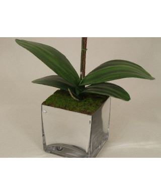 Sztuczny storczyk - Orchidea - W doniczce - 25x55cm