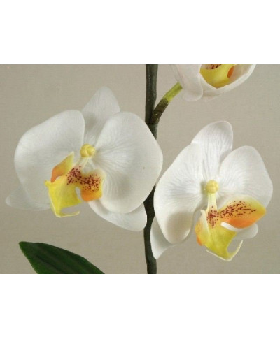 Sztuczny storczyk - Orchidea -  W kubku - 16x32cm
