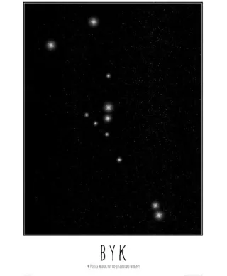 Plakat ścienny - Byk konstelacja z opisem - 61x91,5 cm