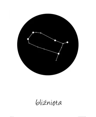 Bliźnięta konstelacja w kole - plakat