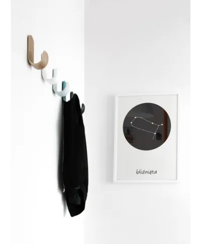 Bliźnięta konstelacja w kole - plakat