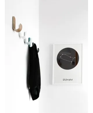 Bliźnięta konstelacja w kole - plakat