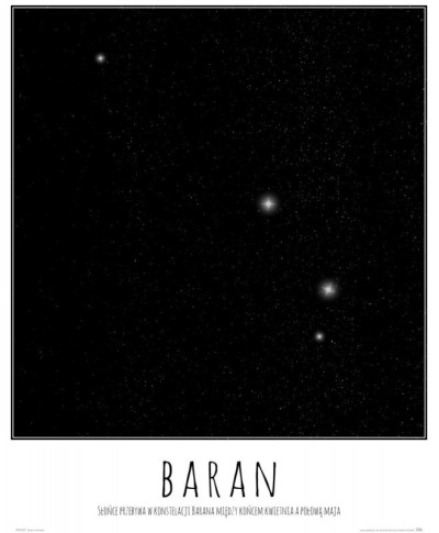Baran konstelacja gwiazd z opisem - plakat