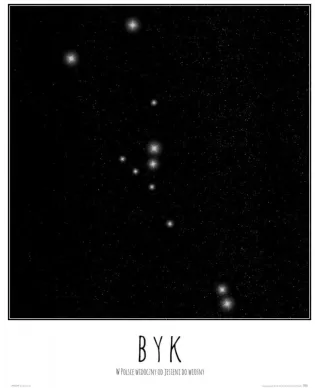 Byk konstelacja gwiazd z opisem - plakat