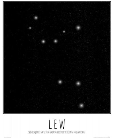 Lew konstelacja gwiazd z opisem - plakat