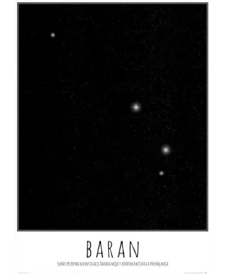 Baran z opisem - plakat