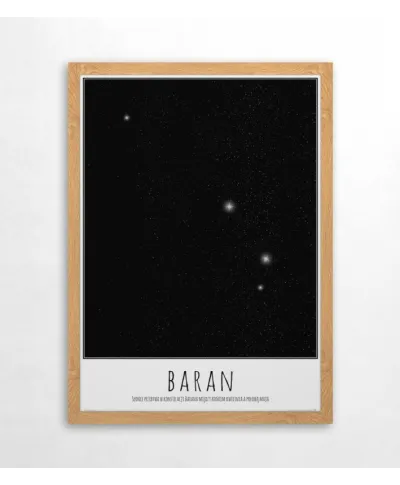 Baran z opisem - plakat