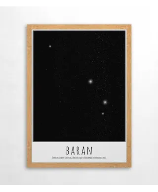 Baran z opisem - plakat