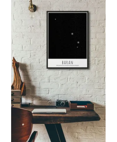 Baran z opisem - plakat