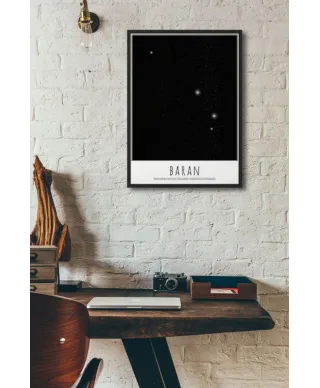 Baran z opisem - plakat