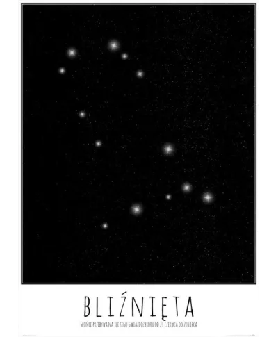 Bliźnięta z opisem - plakat