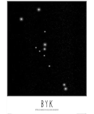 Byk z opisem - plakat