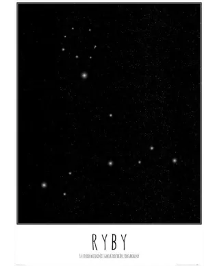 Ryby z opisem - plakat