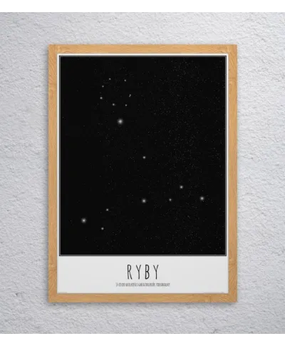 Ryby z opisem - plakat