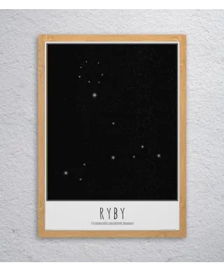 Ryby z opisem - plakat