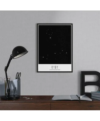 Ryby z opisem - plakat