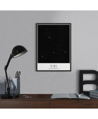 Ryby z opisem - plakat