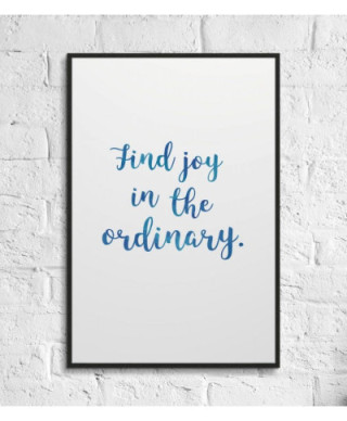 Find joy in the ordinary - plakat