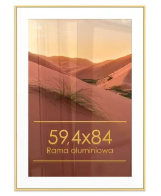 Rama aluminiowa 59,4x84