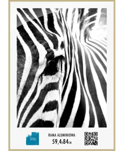 Rama aluminiowa 59,4x84