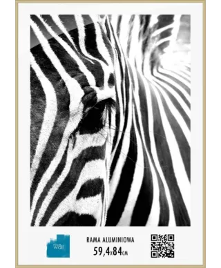 Rama aluminiowa 59,4x84