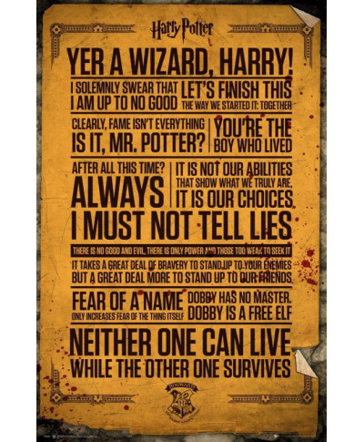 Harry Potter Cytaty z filmu - plakat