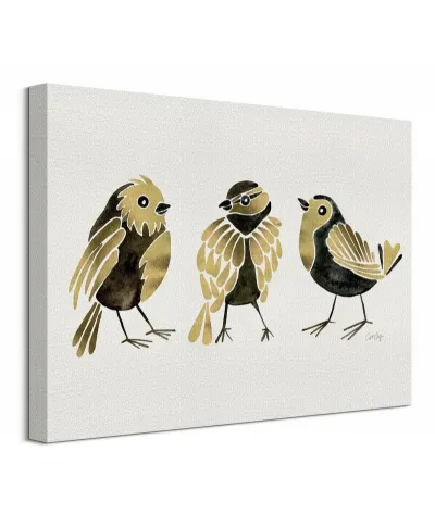 Finches - Obraz na płótnie
