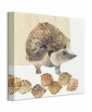 Hedgehog - Obraz na płótnie