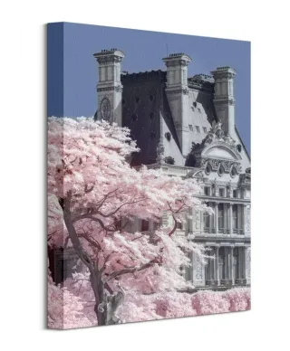 Jardin De Tuilieres Infrared, Paris - Obraz na płótnie