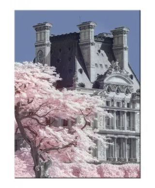 Jardin De Tuilieres Infrared, Paris - Obraz na płótnie