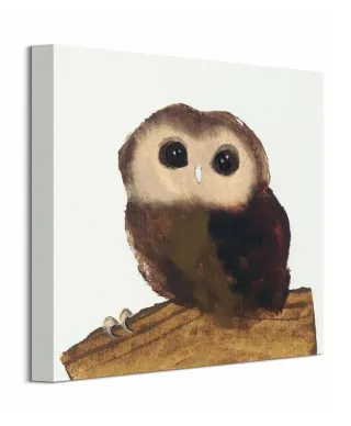 Little Owl - Obraz na płótnie