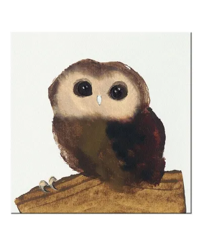 Little Owl - Obraz na płótnie