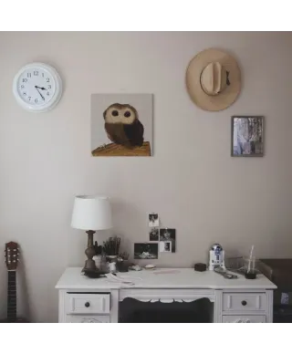 Little Owl - Obraz na płótnie