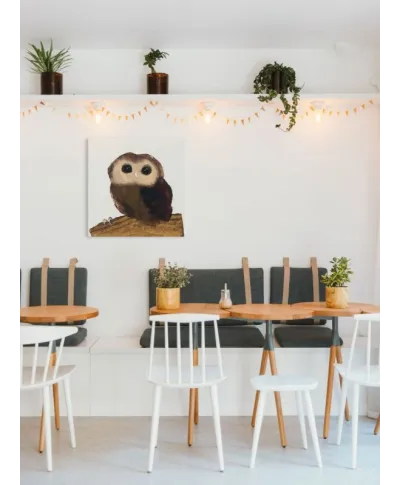 Little Owl - Obraz na płótnie