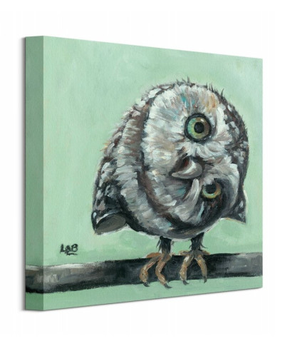 Little Owl - Obraz na płótnie