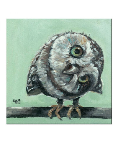 Little Owl - Obraz na płótnie