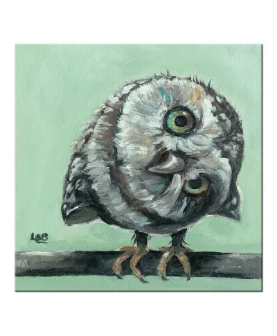 Little Owl - Obraz na płótnie