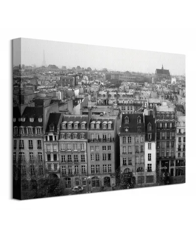 Parisian Rooftops - Obraz na płótnie