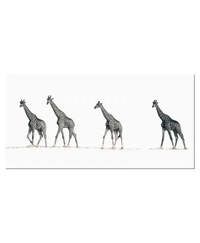 Obraz na płótnie - Cztery Żyrafy - The Giraffes)