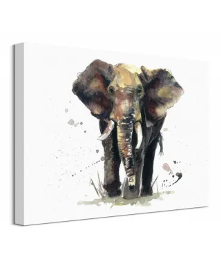 Obraz na płótnie - Słoń - Thunder