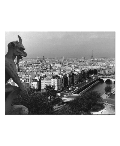 Obraz na płótnie - Widok z Katedry Notre-Dame, Paris