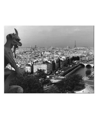 Obraz na płótnie - Widok z Katedry Notre-Dame, Paris