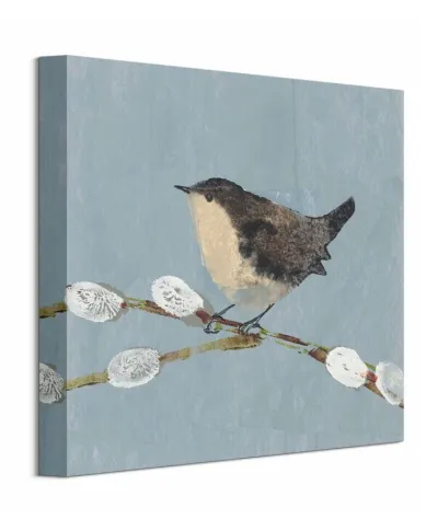 Obraz do sypialni - Strzyżyk - Wren