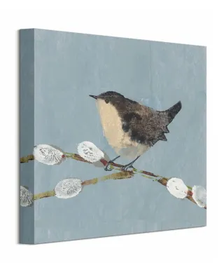 Obraz do sypialni - Strzyżyk - Wren