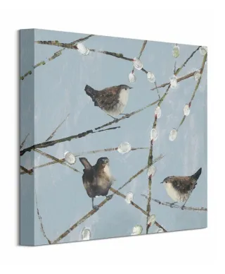 Obraz na płótnie - Strzyżyki - Wrens