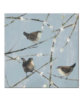 Obraz na płótnie - Strzyżyki - Wrens