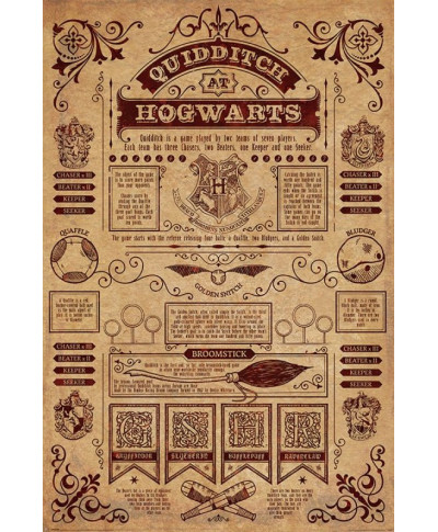 Harry Potter Quidditch At Hogwarts - plakat filmowy
