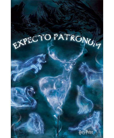 Harry Potter Expecto Patronum - plakat z filmu
